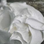 Egg whites and cream of tarter that have been beaten to stiff white peaks for our Basic Meringue Recipe