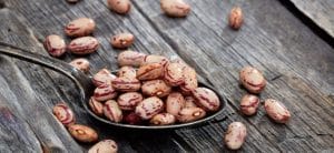 Dry Pinto beans in an antique silver spoon, situated on and rustic wood background.